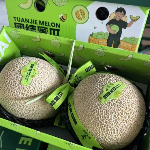 【牛3】网纹蜜瓜，肉厚绿瓤，待瓜藤干枯，瓜屁股略软时食用口感软糯多汁！ 商品图2