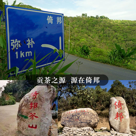 【金奖倚邦】2019年头春头采易金奖资源片区倚邦；挑树挑采品质媲美单株级古树；普洱茶生茶饼 357克/饼，拍5发6拍20发25 商品图2