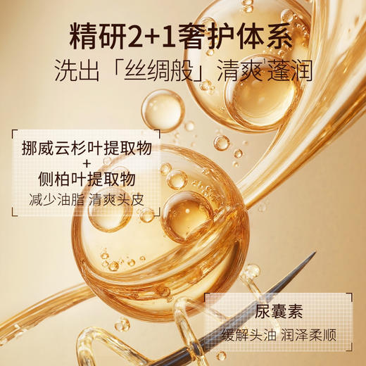 鄭明明灵芝植萃香氛洗发精华露 260g*1 商品图2