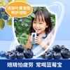 蓝莓宝 60颗蓝莓复合果汁饮品125mlX4盒 商品缩略图1