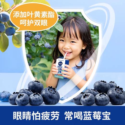 蓝莓宝 60颗蓝莓复合果汁饮品125mlX4盒 商品图1