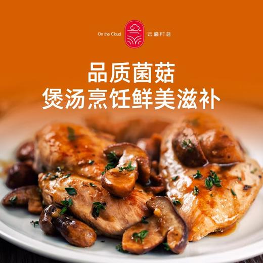 云南香菇 商品图4