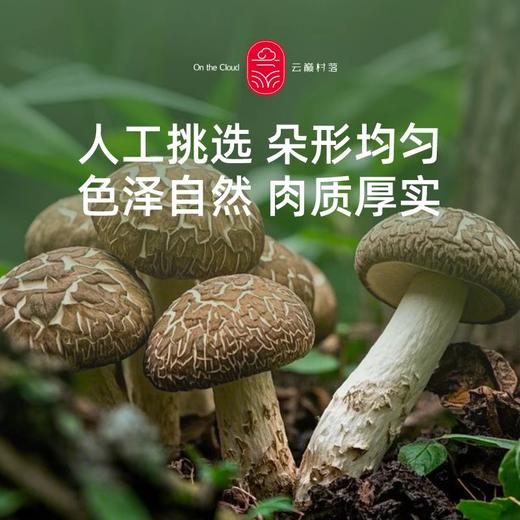 云南香菇 商品图2