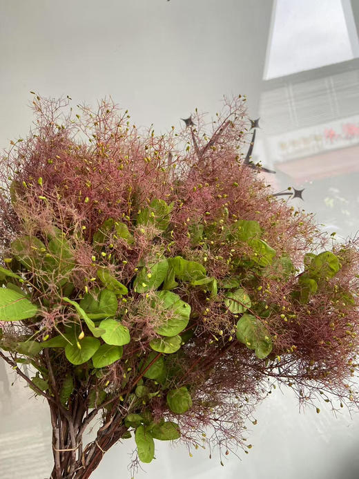 国产花材-【雾中情人】 商品图0