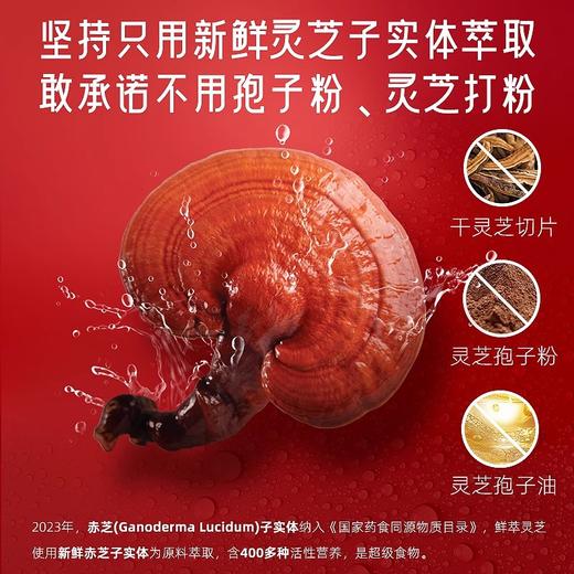 GanoExcel赤点鲜萃灵芝PLUS多重萃取冻干粉灵芝萃取物30颗装 商品图1