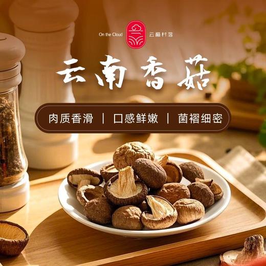云南香菇 商品图0