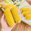 屹滋源～甜糯丑玉米 1kg/袋*2 袋（12-16 支） 商品缩略图3