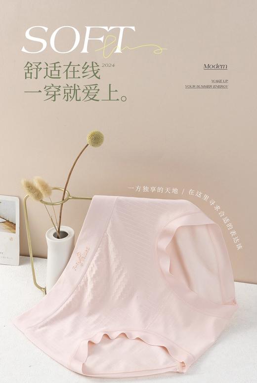 （79一盒三条）蚕丝内裤中高腰透气吸湿全天候优氧呵护1295068 商品图4