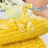 屹滋源～甜糯丑玉米 1kg/袋*2 袋（12-16 支） 商品缩略图6