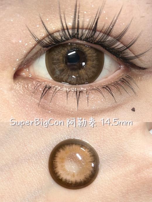 superbigcon半年抛美瞳 阿勒泰棕 14.5mm 商品图0