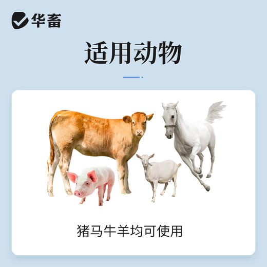 华畜 穿心莲注射液10ml*10支 清热解毒 肠炎肺炎 仔猪白痢 马牛羊猪用 商品图2