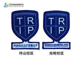 通版深圳市技术大学附属中学坪山光明校区学生包边校徽缝烫现货51