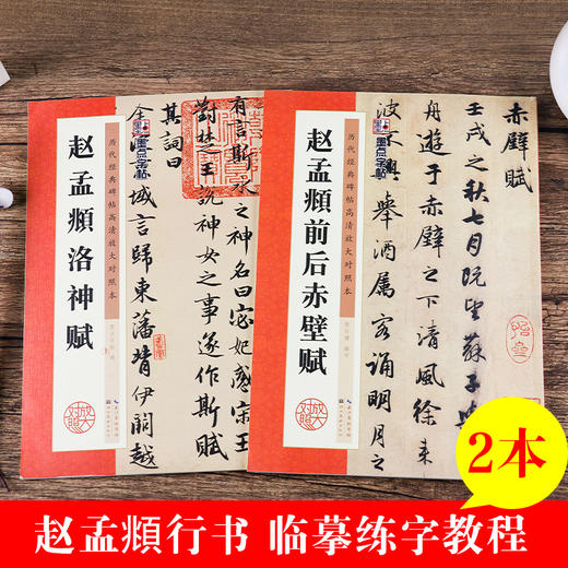 赵孟俯字帖行书 赵孟頫洛神赋行书字帖前后赤壁赋墨点高清放大临摹本赵体洛神赋十三行初学者毛笔书法字帖毛笔赵孟俯碑帖行书字帖 商品图1