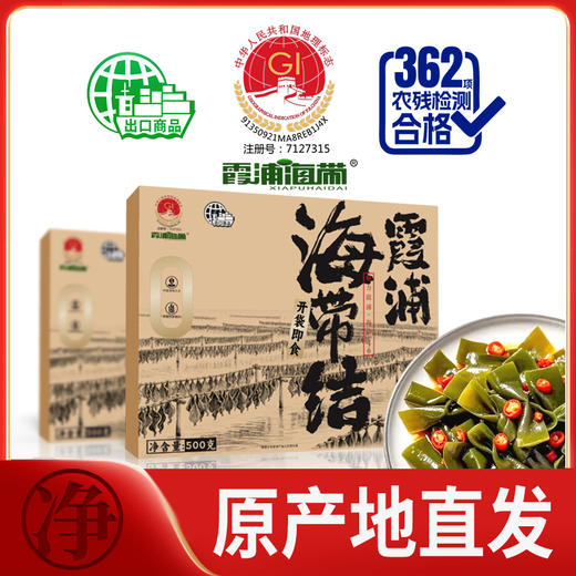 【地理标志产品】臻邦 香辣海带结500g/盒（20小包）香辣味 商品图2