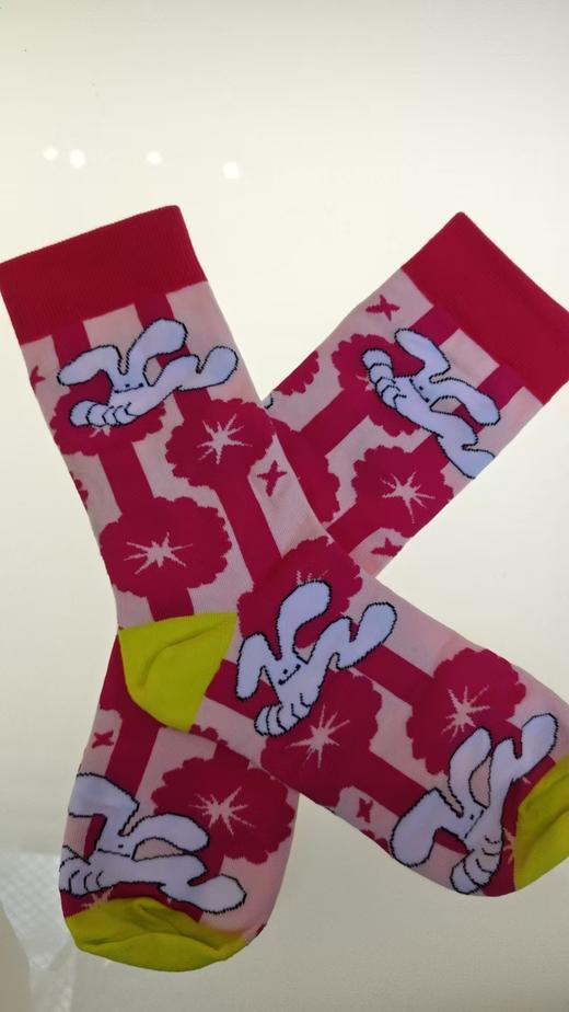 兔子狗丨袜子 商品图0