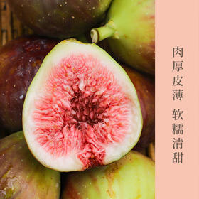 云南波姬红新鲜无花果  号称女神果  孕妇最佳水果   清甜口感   发货7成熟 收货后先挑颜色深和软的先吃   包邮发出