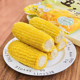 屹滋源～甜糯丑玉米 1kg/袋*2 袋（12-16 支）
