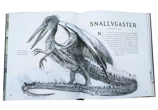 神奇动物在哪里（插图版）英文原版 Fantastic Beasts and Where to Find Them Illustrated Edition J.K. Rowling罗琳 商品图5