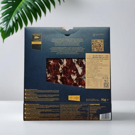 5J橡果饲养100%伊比利亚去骨火腿 70g/包 商品图1