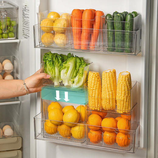 摩登主妇冰箱侧门收纳盒整理盒食品级鸡蛋果蔬饮料内侧分装储物盒 商品图2