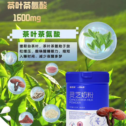 喜恩美灵芝奶粉 800g/桶 商品图5