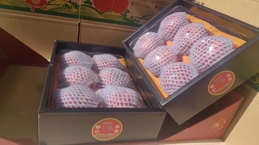 静宁苹果山地苹果  高端礼盒装  12枚装（85-100cm） 商品图2