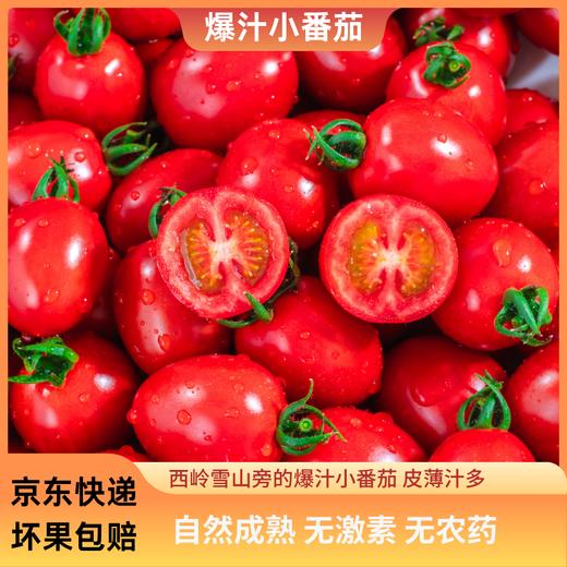 【专享】斜源爆汁小番茄1kg礼篮装自然生长无催熟无激素甜蜜可口 商品图1