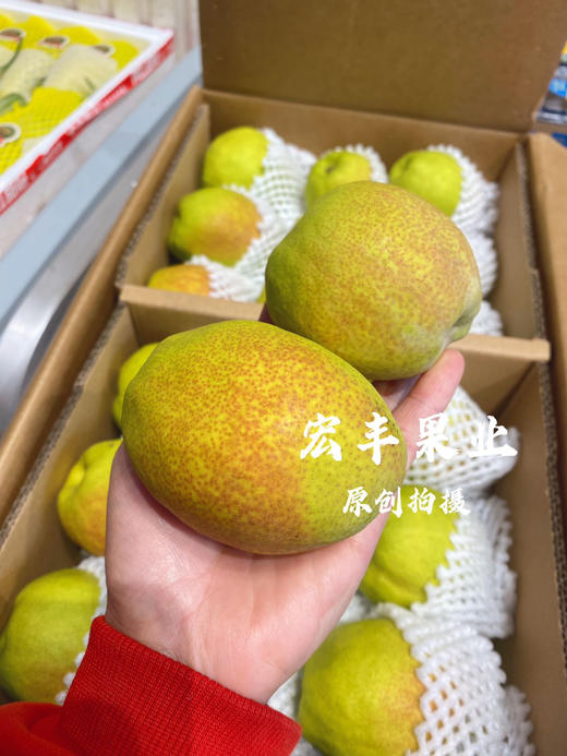 宏丰精选，正宗库尔勒香梨，口感脆甜，水份足，活动价9.9元一斤 商品图3