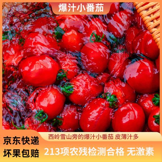 【专享】斜源爆汁小番茄1kg礼篮装自然生长无催熟无激素甜蜜可口 商品图10