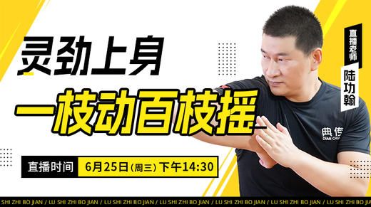 【6月25日】灵劲上身，一枝动百枝摇 商品图0