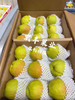 宏丰精选，正宗库尔勒香梨，口感脆甜，水份足，活动价9.9元一斤 商品缩略图4