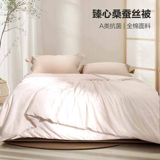 热卖中！！【《蚕丝被》国家标准起草单位】太湖雪百分百双宫茧桑蚕长丝被（填充3斤桑蚕丝） 带品牌礼袋 商品图5