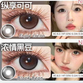 TOASTNOMI 日抛云端灰/大金块棕/水滴光晕黑美瞳