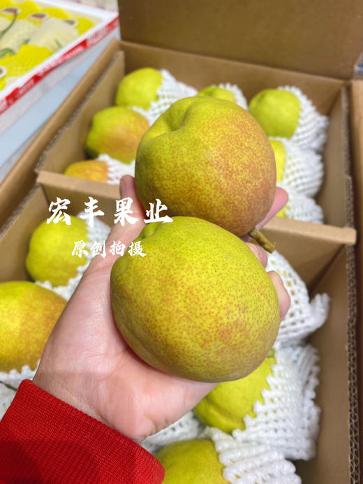 宏丰精选，正宗库尔勒香梨，口感脆甜，水份足，活动价9.9元一斤 商品图1