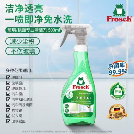 Frosch玻璃/镜面专业清洁喷剂【宝库优选】 商品图2