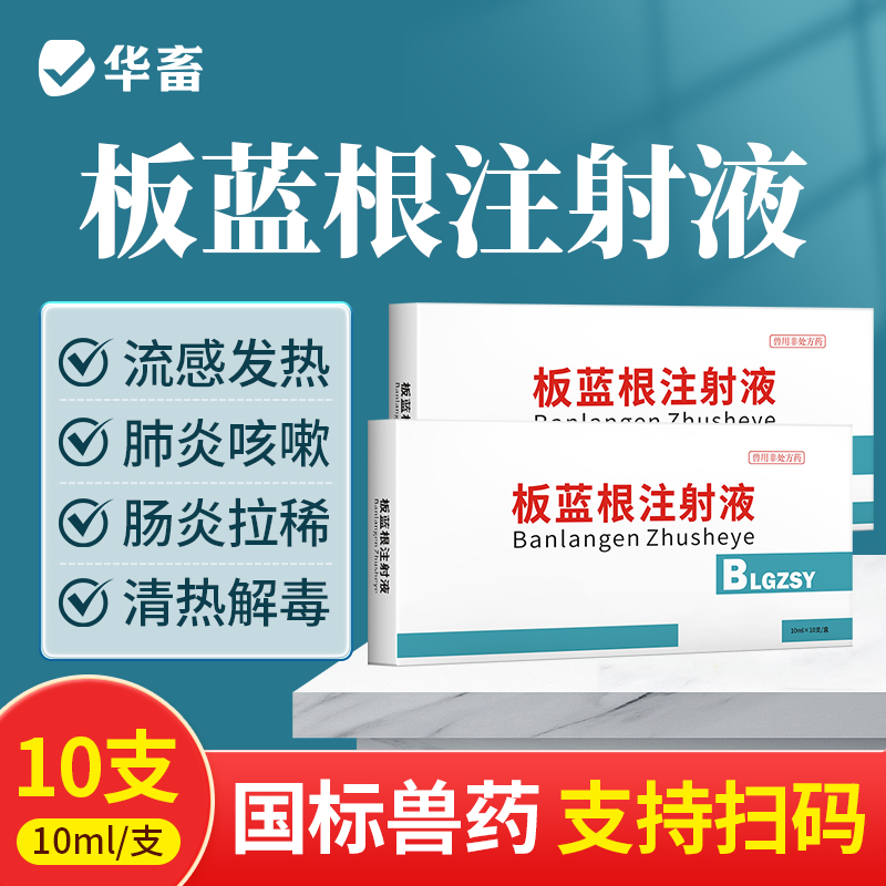 华畜兽药板蓝根注射液 感冒流感退烧抗病毒 猪牛羊药
