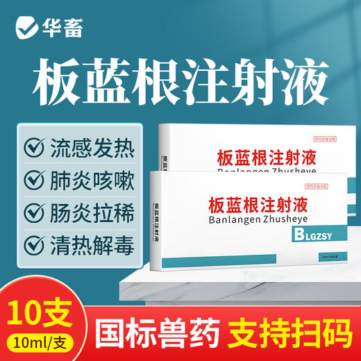 华畜兽药板蓝根注射液 感冒流感退烧抗病毒 猪牛羊药 商品图0