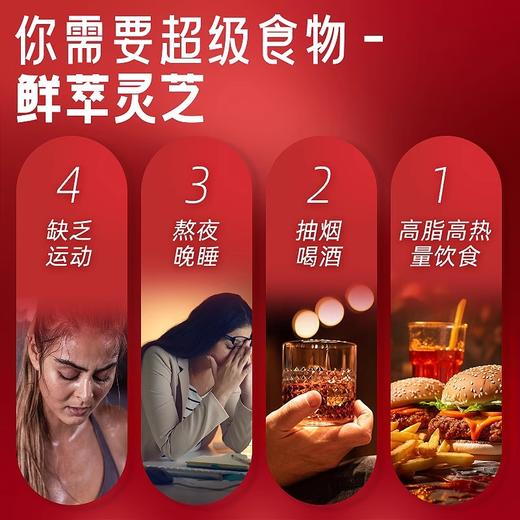 GanoExcel赤点鲜萃灵芝PLUS多重萃取冻干粉灵芝萃取物30颗装 商品图2