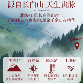 岷农人西洋参大片礼盒含片滋补品节日送礼长辈父母亲老人实用花旗参礼物 /传统滋补 /滋补参茸 /西洋参