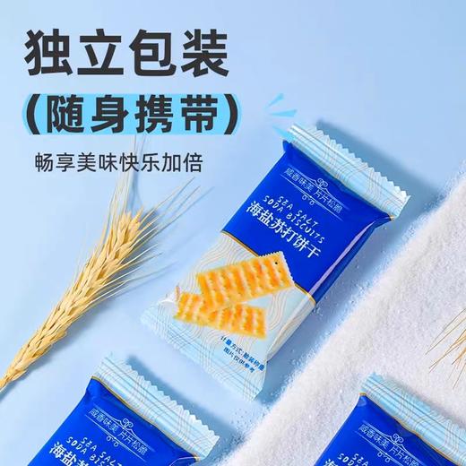 至简定义 海盐苏打饼干500g 商品图0