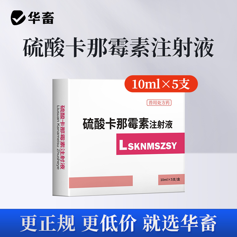 华畜硫酸卡那霉素注射液5支 治疗败血症 呼吸道药