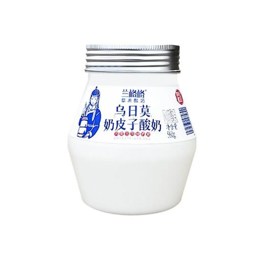 兰格格 草原酸奶乌日莫奶皮子酸奶风味发酵乳 560g/瓶 商品图1
