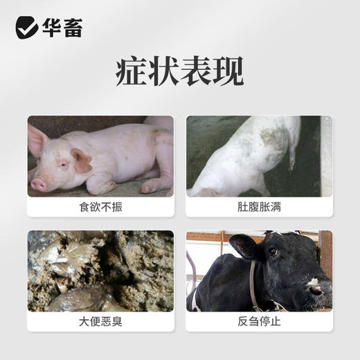 华畜兽药 健胃散2斤装 健胃消食 促生长 中药促消化 理气消胀 猪牛羊用 商品图1