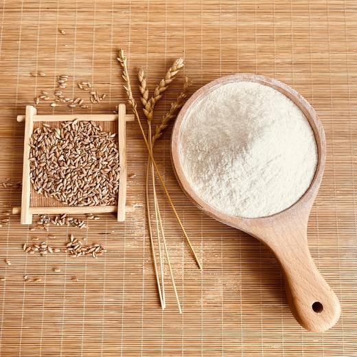 沙地红光头小麦粉/高筋粉 商品图2