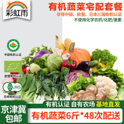 京津冀有机蔬菜宅配套餐幸福二人蔬菜包  6斤*48份欧盟认证包邮 商品图0