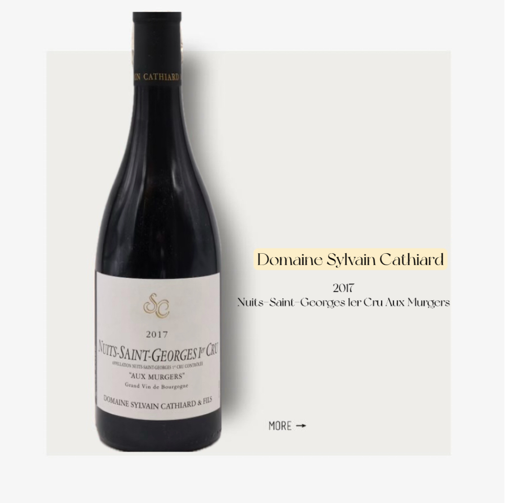 Domaine Sylvain Cathiard Nuit-Saint-Georges 1er Cru Aux Murgers 2017西尔万帕塔耶酒庄夜乔治村奥莫杰一级园