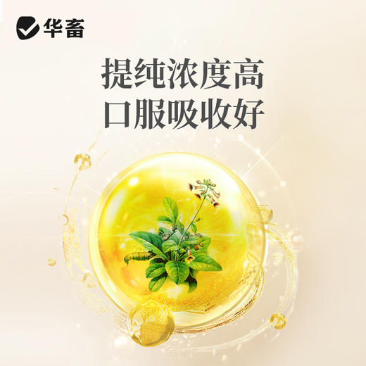 华畜兽用 清瘟解毒口服液500ml 感冒发烧 四季流感 禽呼吸道病药 商品图3