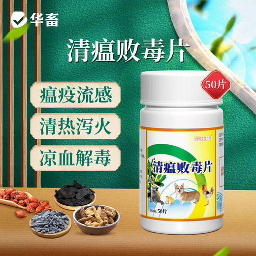 【积分兑换】华畜兽用清瘟败毒片鸡鸭鹅鸽子鸟感冒清热解毒发烧禽咳嗽鸡药片剂 商品图0