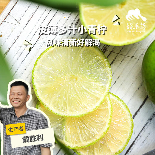 生态青柠檬（圆通） | 合作生产 *Ecological Green Lemon | Partner Production 商品图0
