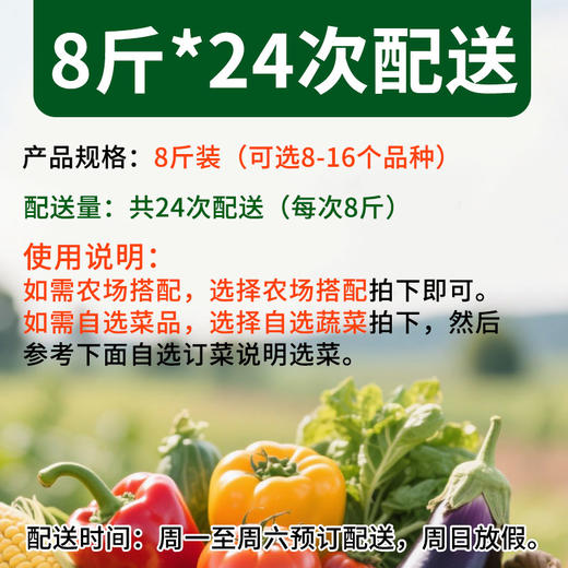 有机蔬菜宅配套餐三人亲子蔬菜包 8斤*24份欧盟认证京津冀包邮 商品图5